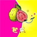 5178舞一曲吧播放器在线下载